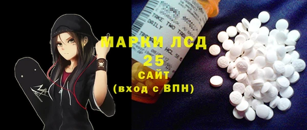 apvp Горняк