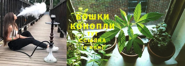 apvp Горняк