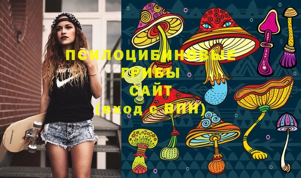прущие крисы Горно-Алтайск