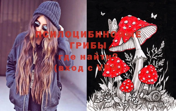 соль ск Горнозаводск