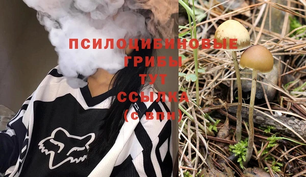 прущие крисы Горно-Алтайск